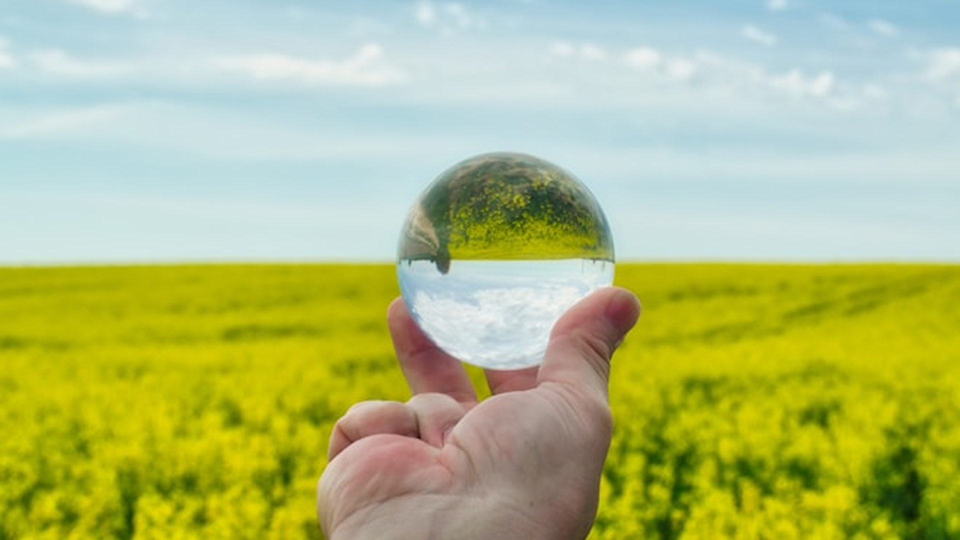 Master of Environmental Management and Sustainability 