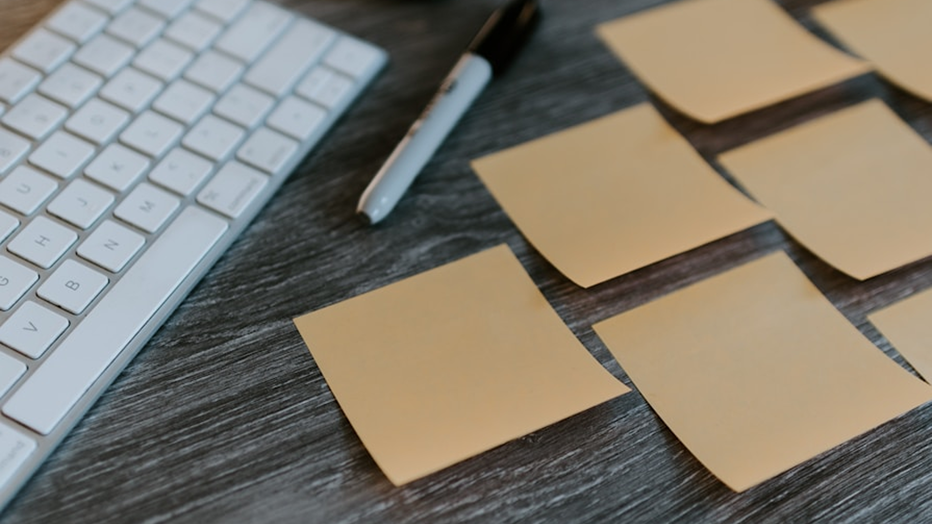 Artificial Intelligence and Data Science training program